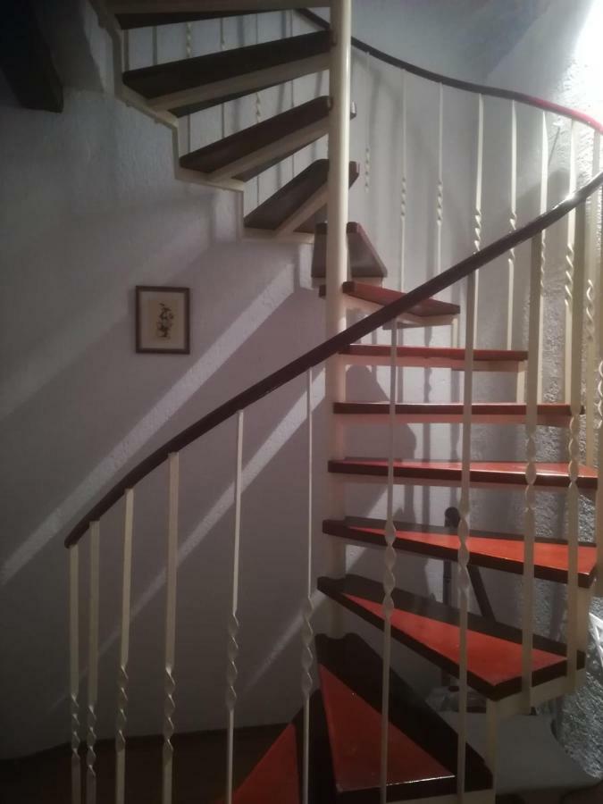 טרוגיר Apartment Nikolina מראה חיצוני תמונה